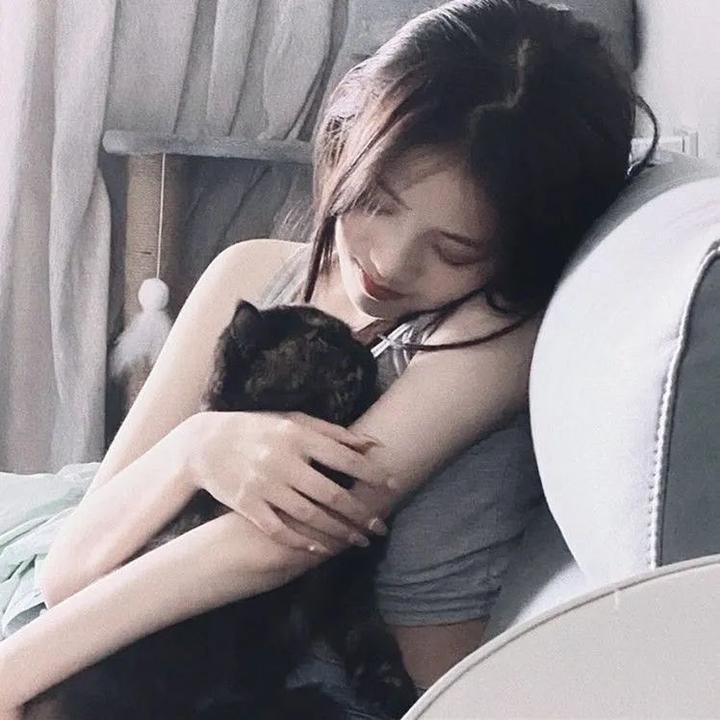 哈莉·奎茵第一季